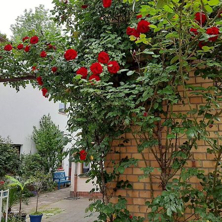 Fewo Rosenbluete Am Stadtpark ルターシュタット・ヴィッテンベルク エクステリア 写真