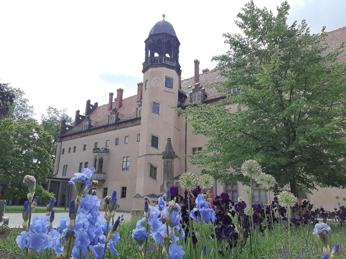 Fewo Rosenbluete Am Stadtpark ルターシュタット・ヴィッテンベルク エクステリア 写真