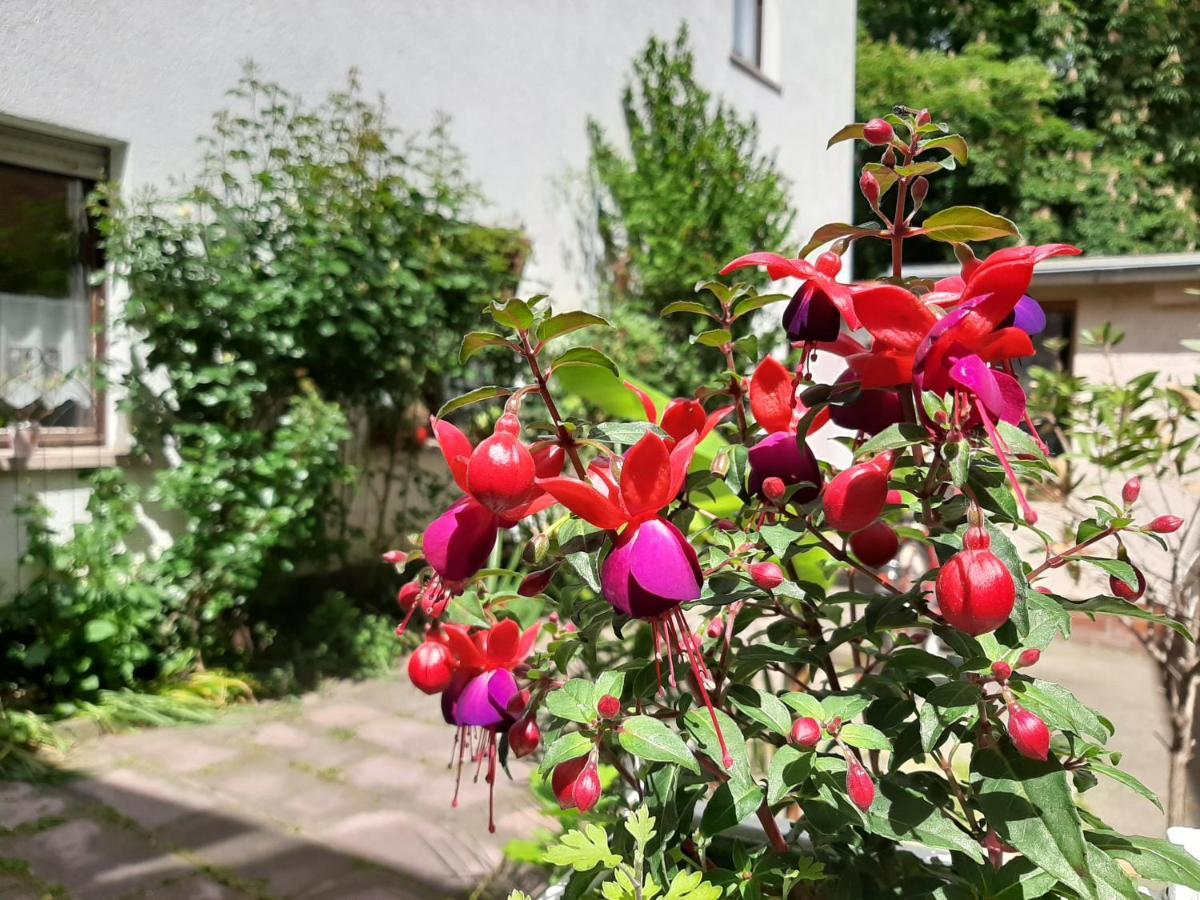 Fewo Rosenbluete Am Stadtpark ルターシュタット・ヴィッテンベルク エクステリア 写真